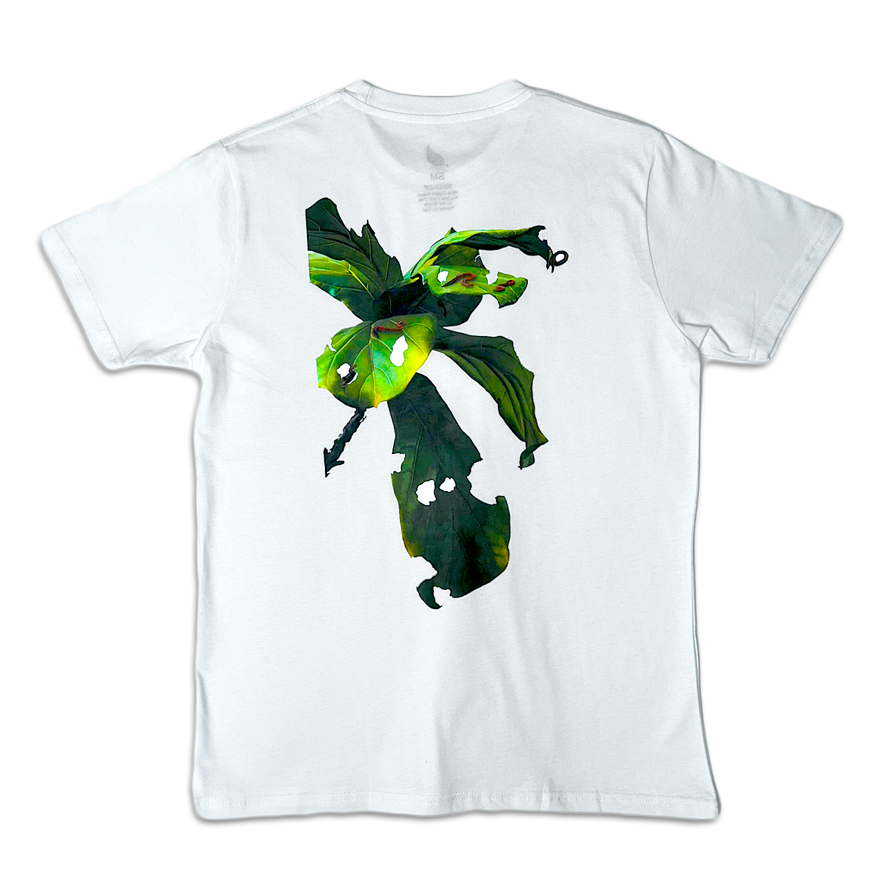 Earth Worm Graphic Tee